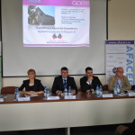 afaceri suceava business angels romania